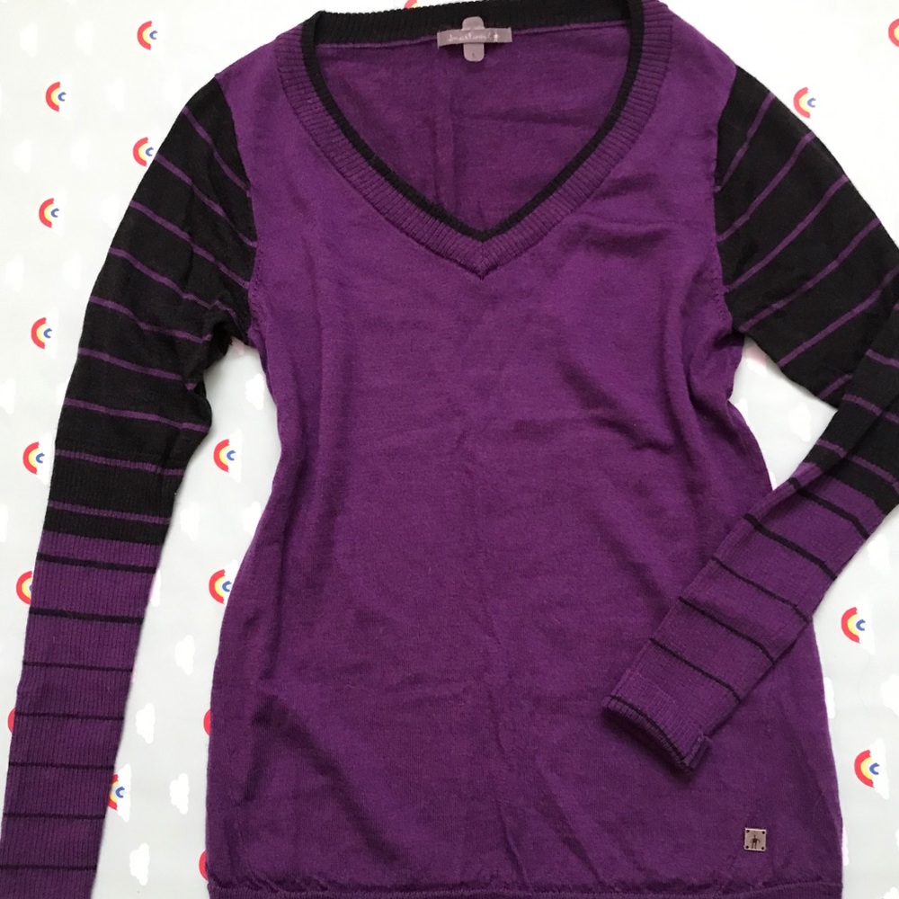Smartwool v neck sweater